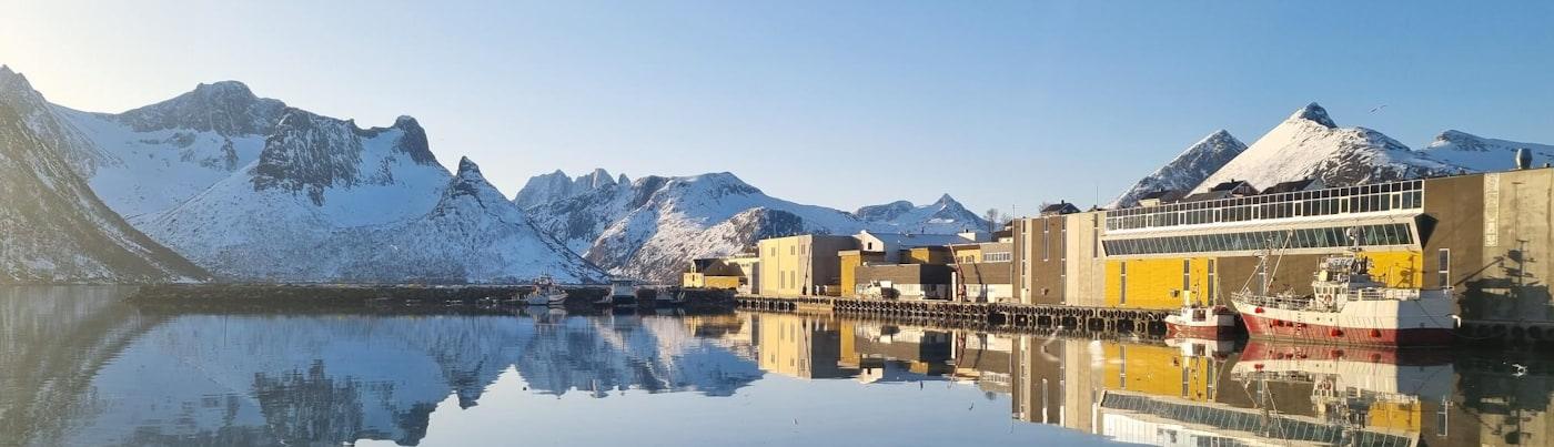 Husøy: gule og hvite bygg ved sjøen som speiler seg i stille vann, snødekte fjell bak